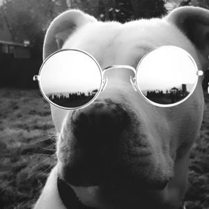 Meet your Posher, Ethan